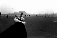 Ai Weiwei - Never Sorry